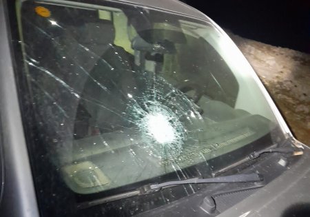 مستعمرون يرشقون مركبات المواطنين بالحجارة قرب بلدة تقوع